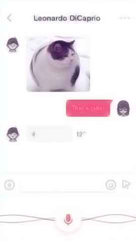 免费ddos防火墙软件程序维护界面